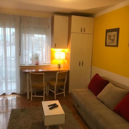 Tina Sajam Studio Novi Sad Eksteriør billede