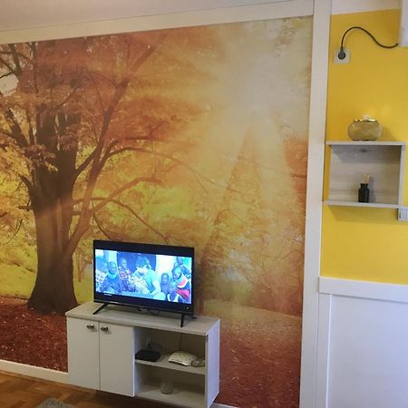 Tina Sajam Studio Novi Sad Eksteriør billede
