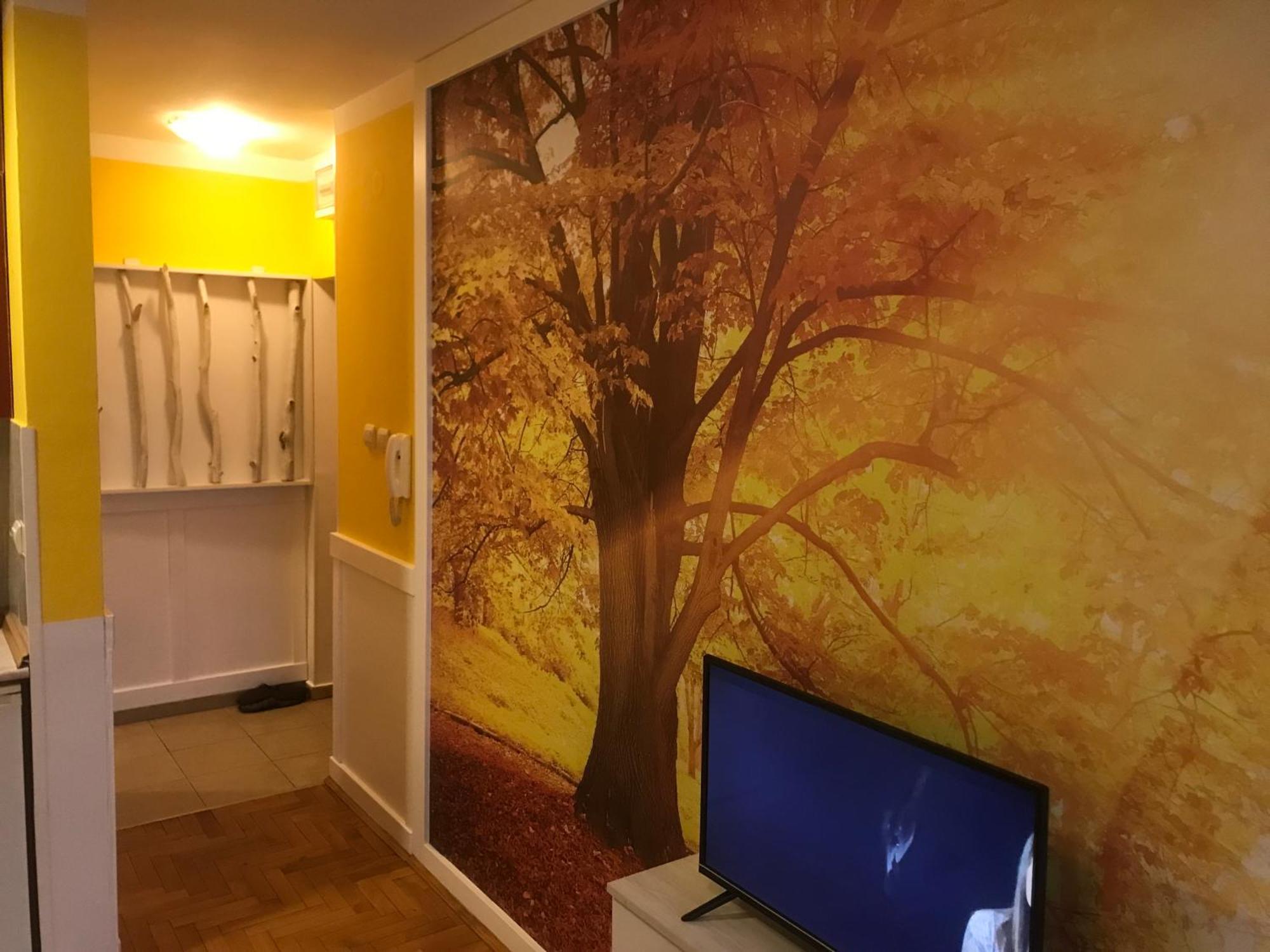 Tina Sajam Studio Novi Sad Eksteriør billede