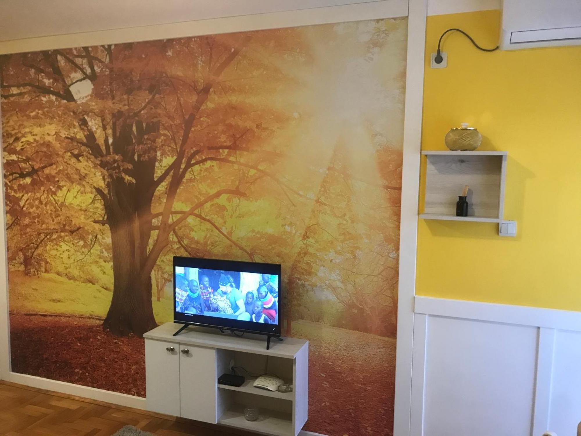 Tina Sajam Studio Novi Sad Eksteriør billede